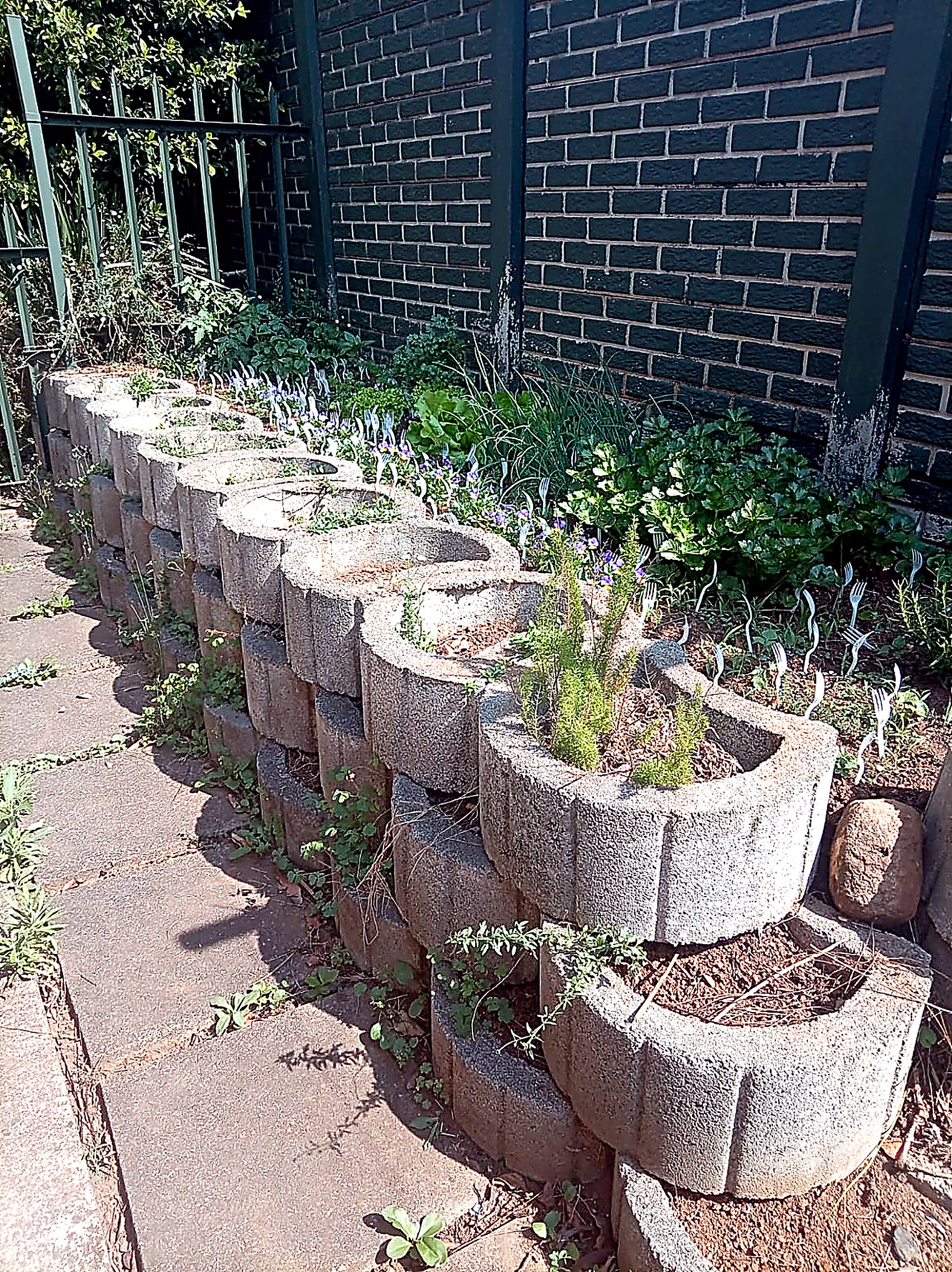 Hands On Academy garden walkway